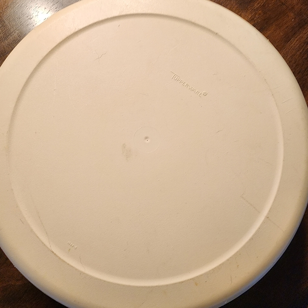 Vintage Tupperware Store and Serve Veggie and Dip Tray with Lid - Almond